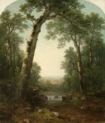 Ruisseau de Forêt avec Vue