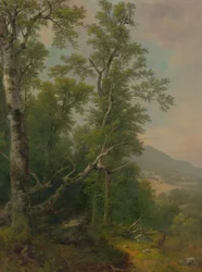 Étude des arbres
