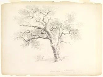 Le chêne à gros fruits sur le domaine Hosack, Hyde Park, New York avec cinq personnages et un artiste dessinant, 1838