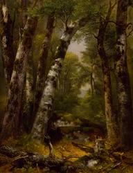 Bois, vers 1850-1855