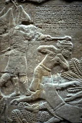 Assurbanipal à la bataille de Til-Tuba, 650-620 av. J.-C.