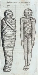 Momies - dans "Sphynx mystagoga" par Athanase Kircher