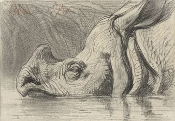 Tête d