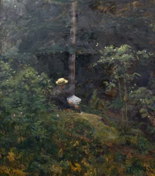 Intérieur de forêt