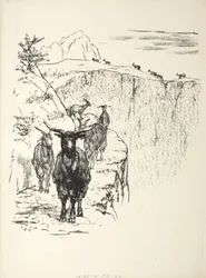 Chèvres