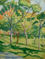 Arbres dans le pré