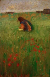 Enfant dans le pré