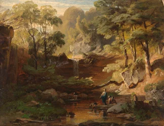 Paysage forestier avec ruisseau