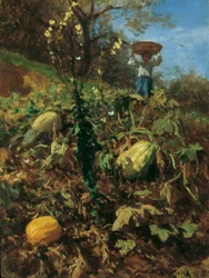 Le Jardin de courges