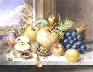 Nature morte de pommes, raisins, poires, prunes et noix sur un rebord de fenêtre