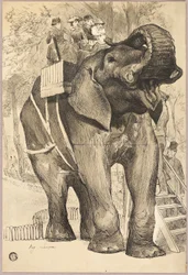 Éléphant avec cavaliers