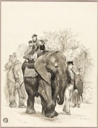 Éléphant avec cavaliers au Jardin des Plantes, Paris