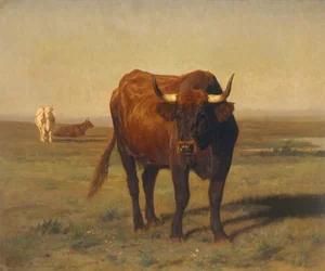 Bovins dans le paysage
