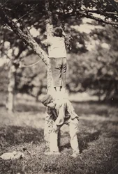 Étude de campagne française : Deux garçons grimpant à un arbre