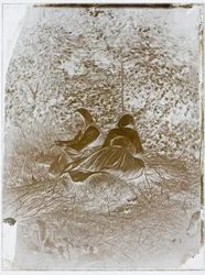 Deux paysannes assises
