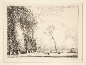 Rideau des peupliers (Vendée)