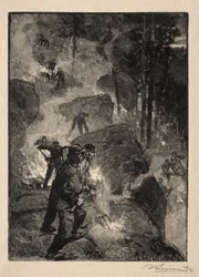 Brûleurs de fougères