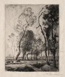 Coucher de Soleil derrière les Arbres, 1909