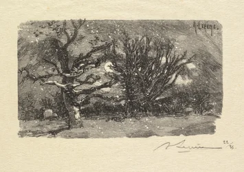 Forêt de Fontainebleau : Au dormoir de Lantara, 1890