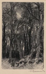 Forêt de Fontainebleau : Le Bas-Bréau, 1890