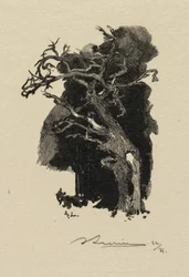 Forêt de Fontainebleau : Le rageur