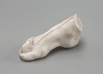 Pied droit, possiblement 1880
