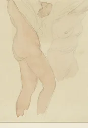 Feuille d