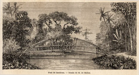 Un pont en bambou dans la jungle près du mont Salak