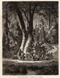 La cueillette du Syri, ou bétel, dont la feuille enduite de chaux est essentielle à la production du Chic local. Dessin de M. de Molins, pour illustrer son voyage à Java