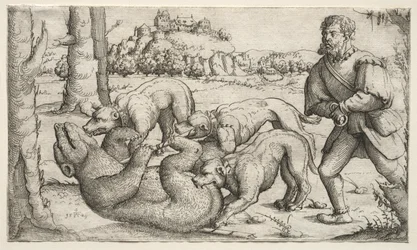 Une chasse à l