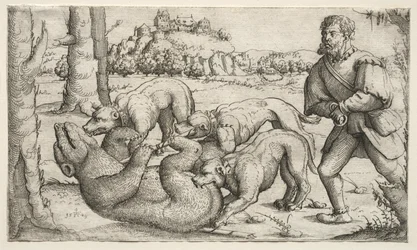 Une chasse à l