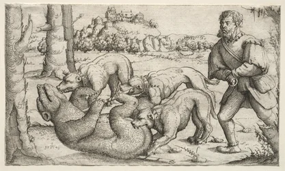Une chasse à l