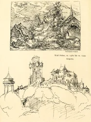 Étude de la nature