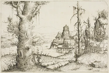 Paysage fluvial avec grand arbre au premier plan
