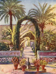 Dans le jardin de l