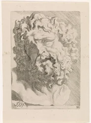 Tête de Laocoon
