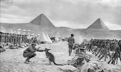 Lignes des 9e et 10e Bataillons Australiens au Camp de Mena, regardant vers les Pyramides, décembre 1914