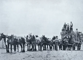 Équipe de transport de laine, Australie occidentale, vers 1900, de 