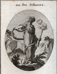 Allégorie de la douleur. Un serpent monstrueux entoure celui qui, après lui avoir lié les pieds, envahit son corps et tente de mordre son cœur. Elle tient une torche qui fume encore, ce qui signifie que l