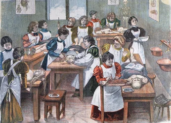 Étudiantes en anatomie à New York, 1897