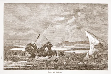 Combat avec un morse, 1876