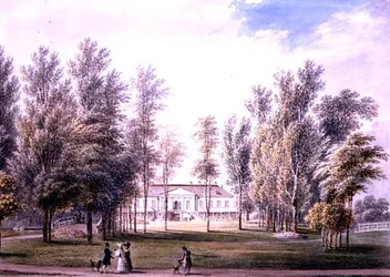 Vue d