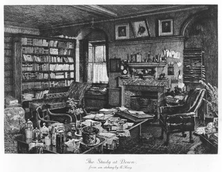 Le cabinet à Down, pub. 1882