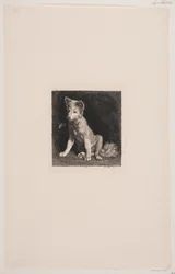 Le chien et l
