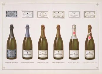 Les différentes catégories de champagne et de vins effervescents