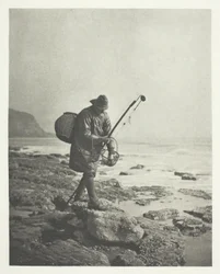 Pêche aux crevettes