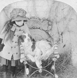 Ne peux-tu pas parler, Jack, 1882