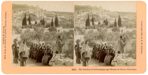 Le jardin de Gethsémani et le mont des Oliviers, Palestine, 1898