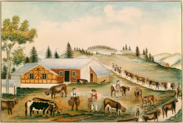 Transhumance vers les alpages