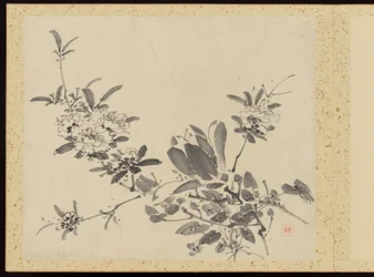 "Élégance raffinée aux quatre saisons" (Shiji seiga), album de peintures de fleurs